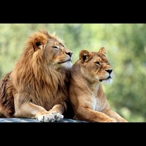 Meet your Posher, Tj